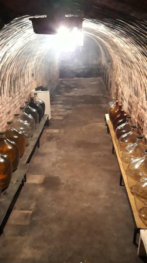 Penzion Na Vyhlidce Cejkovice  Exteriör bild